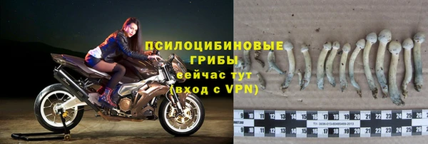 ECSTASY Кукмор