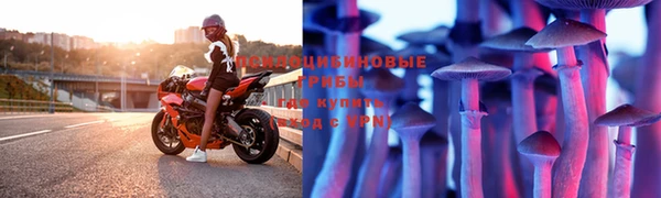 бошки Красноперекопск