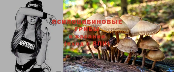 бошки Красноперекопск