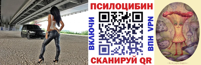 Галлюциногенные грибы GOLDEN TEACHER  Купить где  Оленегорск 